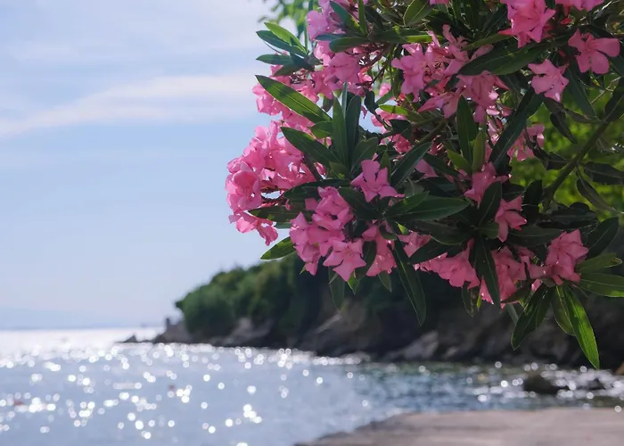 John's House - Pelion Khorto