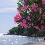 John's House - Pelion Chorto