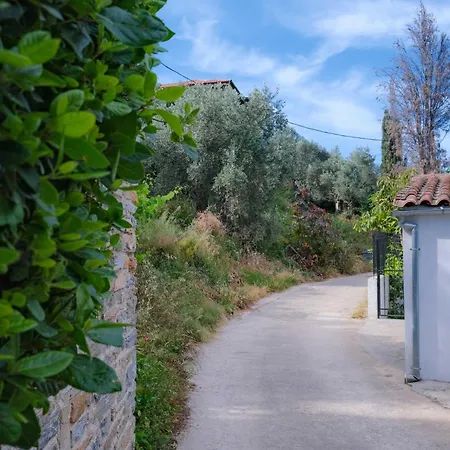 John's House - Pelion 호르토