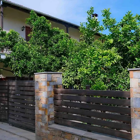 John's House - Pelion *